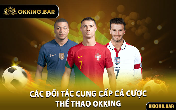 Các Đối Tác Cung Cấp Cá Cược Thể Thao OKKING