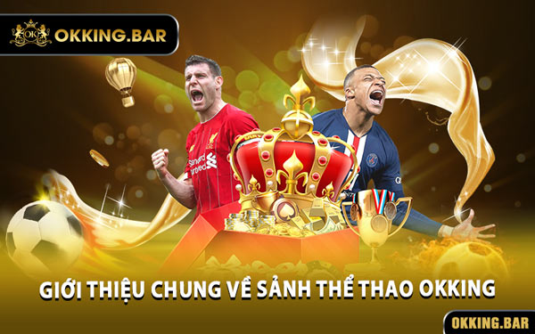 Giới Thiệu Chung Về Sảnh Thể Thao OKKING