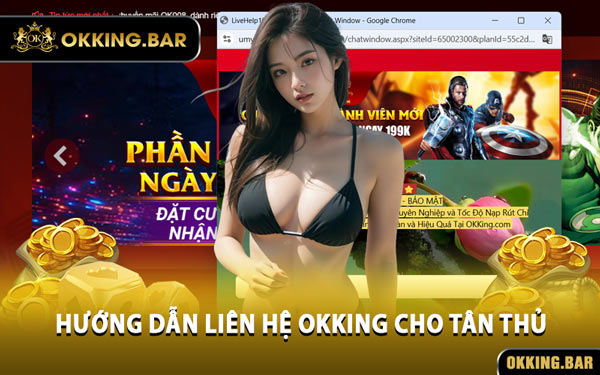 Hướng Dẫn Liên Hệ OKKING Cho Tân Thủ